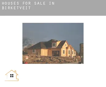 Houses for sale in  Birketveit