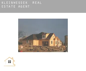 Kleinwessek  real estate agent