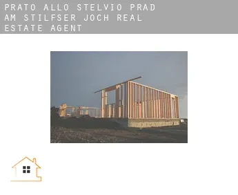 Prad am Stilfser Joch  real estate agent