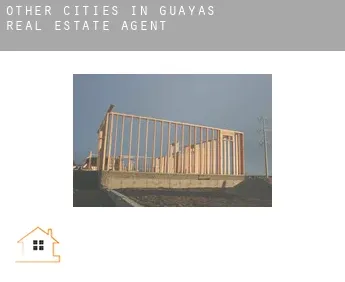 Other cities in Guayas  real estate agent