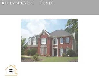 Ballysuggart  flats