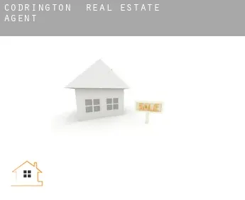 Codrington  real estate agent