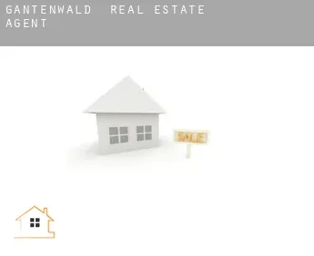 Gantenwald  real estate agent