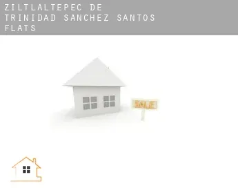 Ziltlaltepec de Trinidad Sanchez Santos  flats