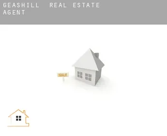 Geashill  real estate agent