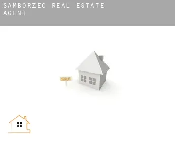 Samborzec  real estate agent