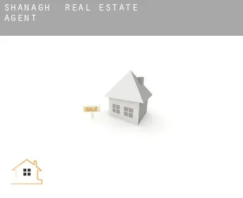 Shanagh  real estate agent