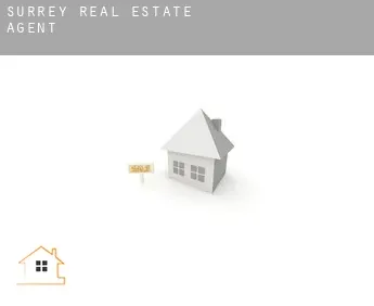 Surrey  real estate agent