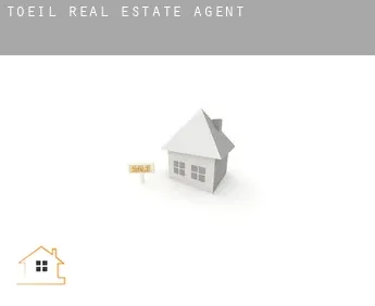 Toëil  real estate agent