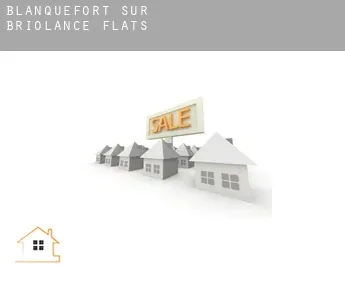 Blanquefort-sur-Briolance flats