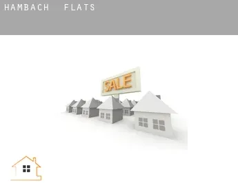 Hambach  flats