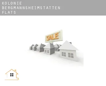 Kolonie Bergmannsheimstätten  flats