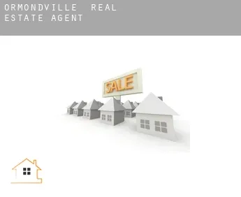 Ormondville  real estate agent