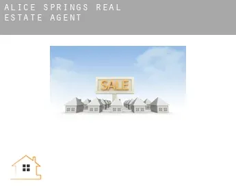 Alice Springs  real estate agent