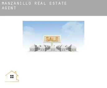 Manzanillo real estate agent