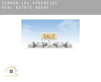 Terron-lès-Vendresse  real estate agent