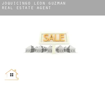 Joquicingo de León Guzmán  real estate agent