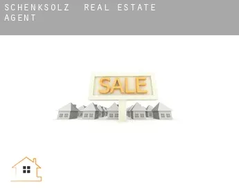 Schenksolz  real estate agent