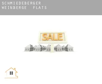 Schmiedeberger Weinberge  flats