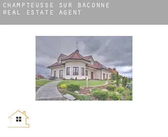 Champteussé-sur-Baconne  real estate agent
