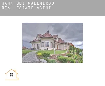 Hahn bei Wallmerod  real estate agent