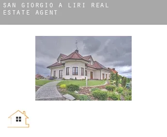 San Giorgio a Liri  real estate agent