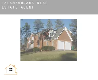 Calamandrana  real estate agent