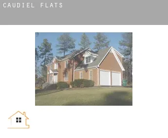 Caudiel  flats