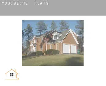 Moosbichl  flats