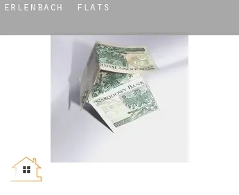Erlenbach  flats