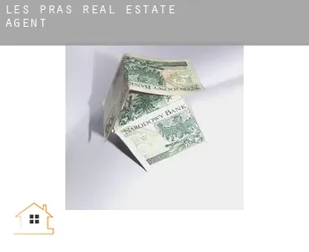 Les Pras  real estate agent
