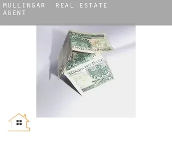 Mullingar  real estate agent