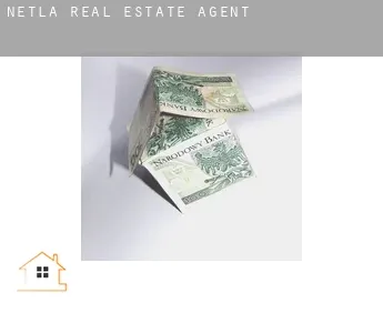Netla real estate agent