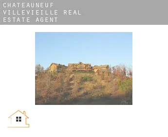 Châteauneuf-Villevieille  real estate agent