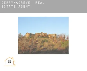 Derrynacreve  real estate agent