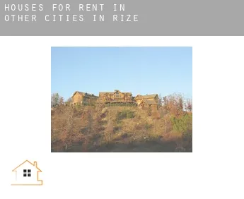 Houses for rent in  Other cities in Rize