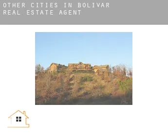 Other cities in Bolivar  real estate agent