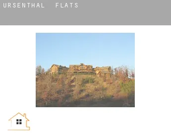 Ursenthal  flats