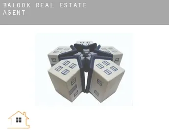 Balook real estate agent