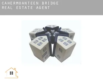 Cahermoanteen Bridge  real estate agent