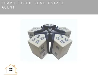 Chapultepec  real estate agent
