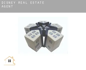Disney  real estate agent