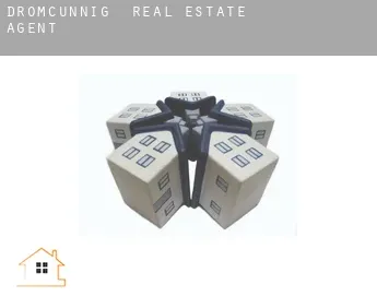 Dromcunnig  real estate agent