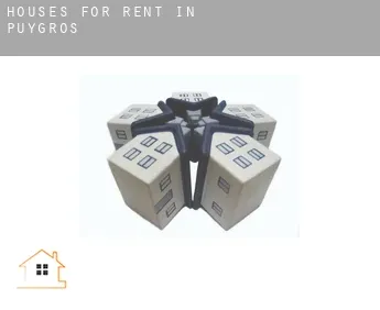 Houses for rent in  Puygros