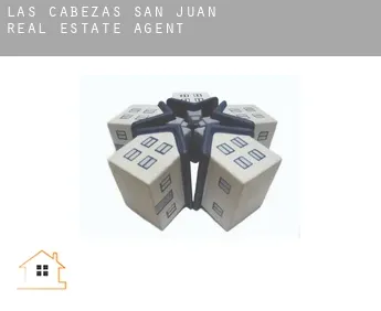 Las Cabezas de San Juan real estate agent