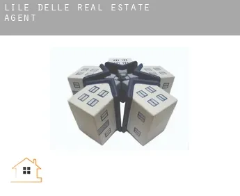 L'Île-d'Elle  real estate agent
