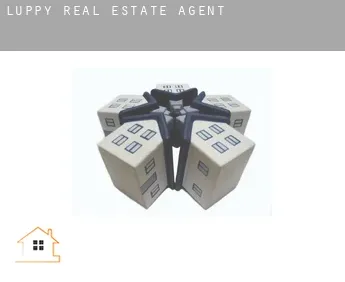 Luppy  real estate agent
