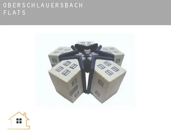 Oberschlauersbach  flats