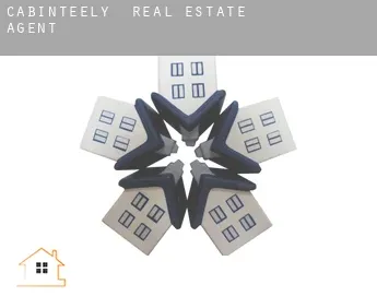 Cabinteely  real estate agent