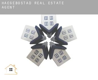 Hægebostad  real estate agent